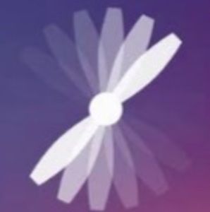 Meet your Posher, Rayce